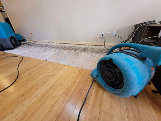 Professional Ceiling Water Damage Repair technician working in West Palm Beach, FL